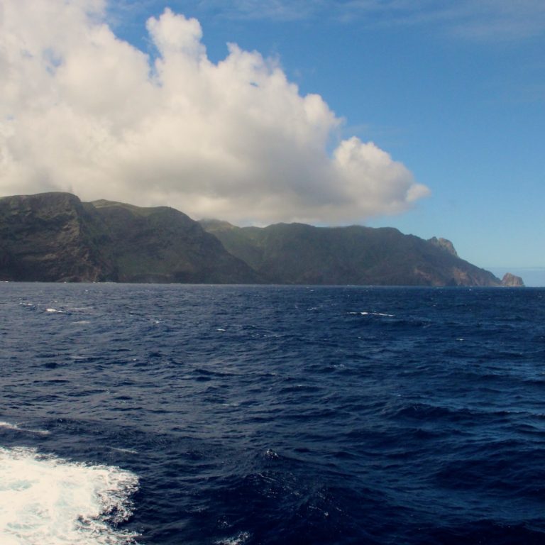 Photo I took on my arrival at St. Helena Island